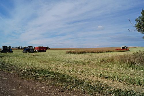 Фото: Минсельхозпрод Хакасии